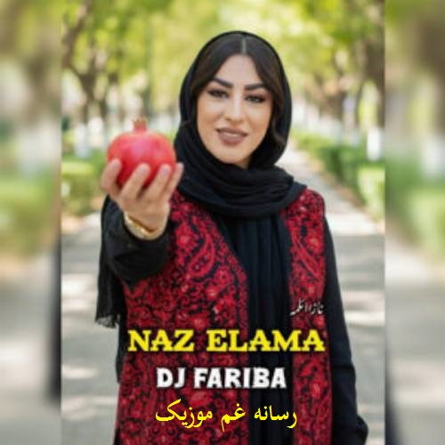 دیجی فریبا ناز المه (گل یاریم ناز المه گوزلرینی سوزمه بِله)